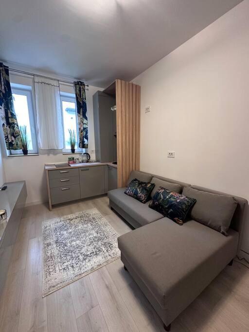 Cozy 1 Bedroom Apartment! Bucarest