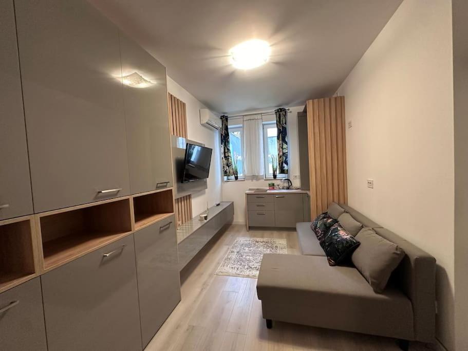Cozy 1 Bedroom Apartment! Bucarest